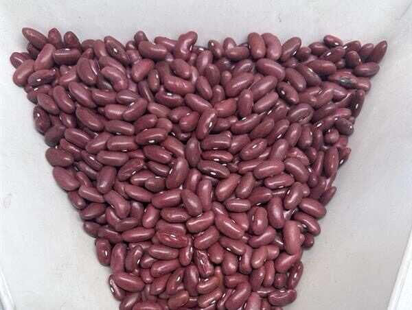 Dry Beans Canada