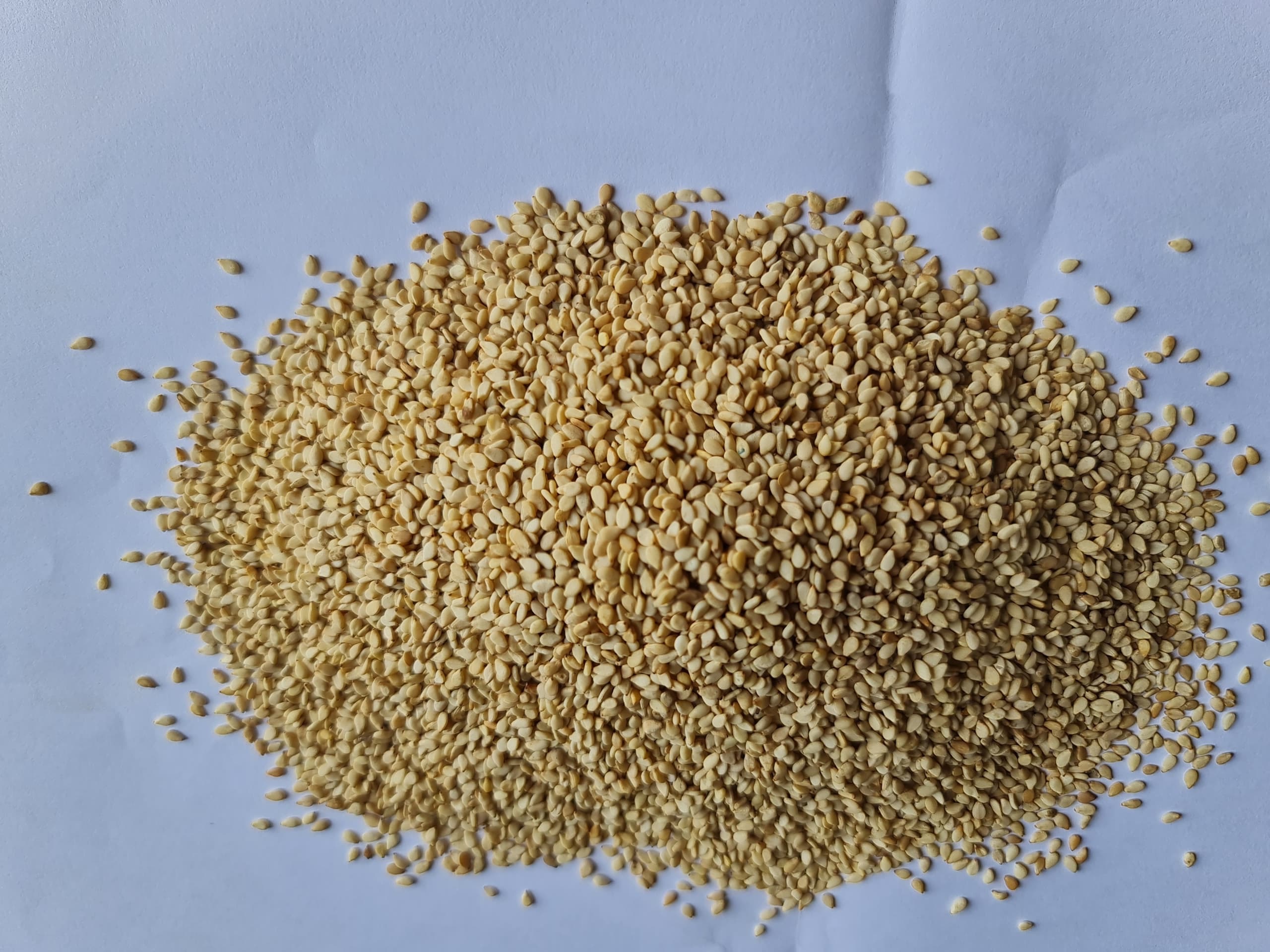 SIMSICA® Sesame Seeds Nigeria