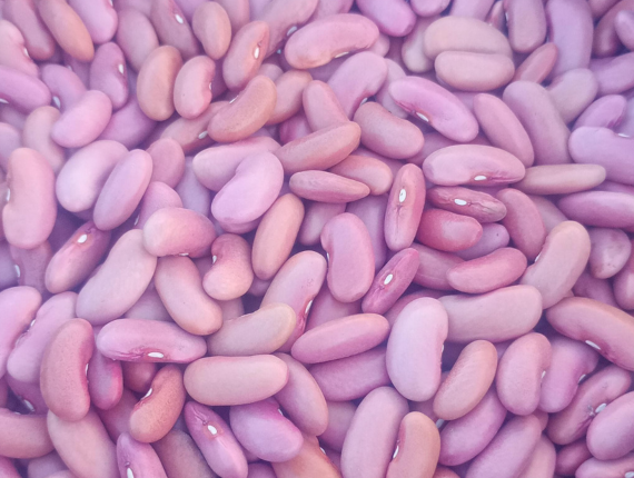 light red kidney beans